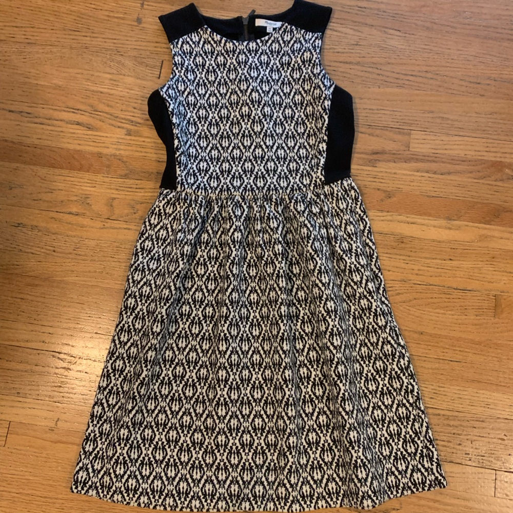Madewell fit and flare dress